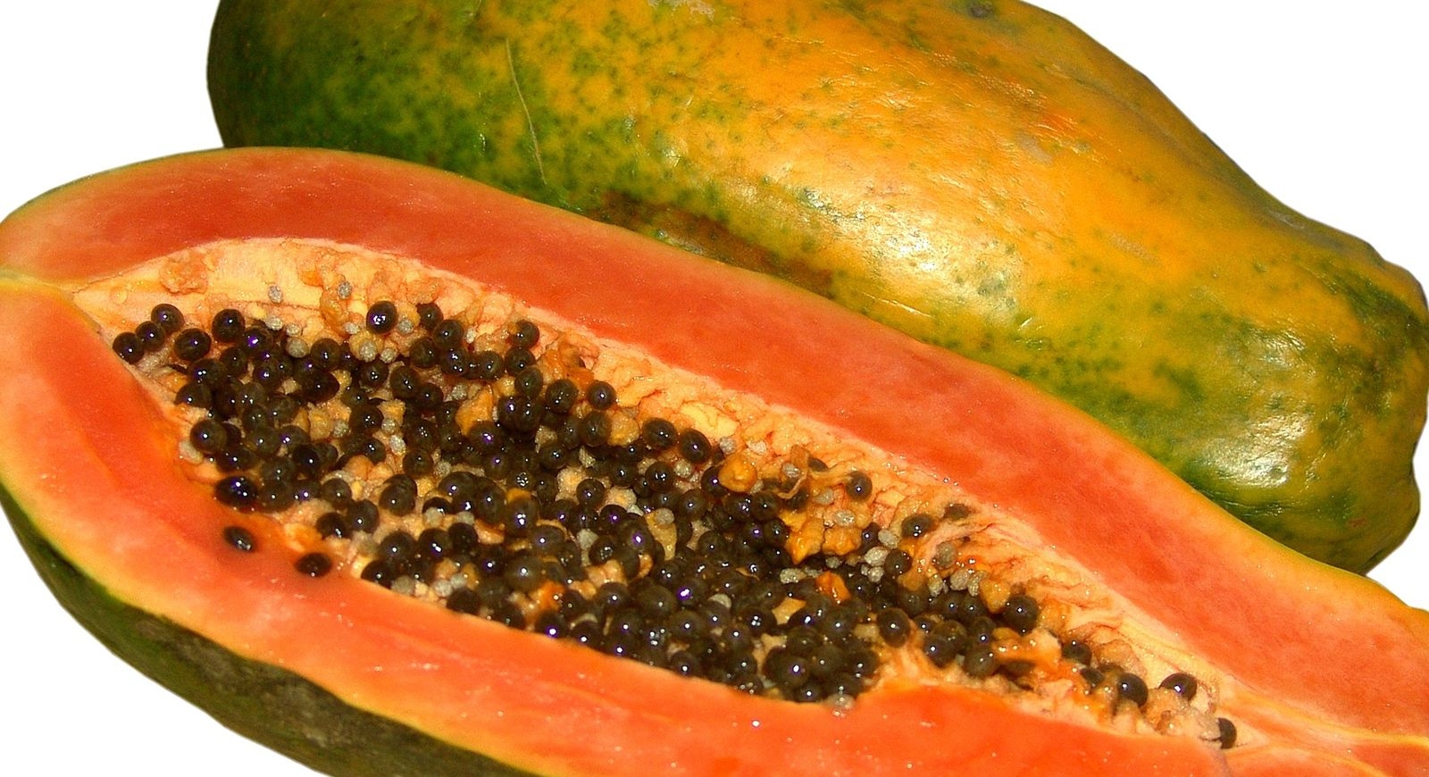 Papaya Description Cultivation Uses U0026 Facts Britannica