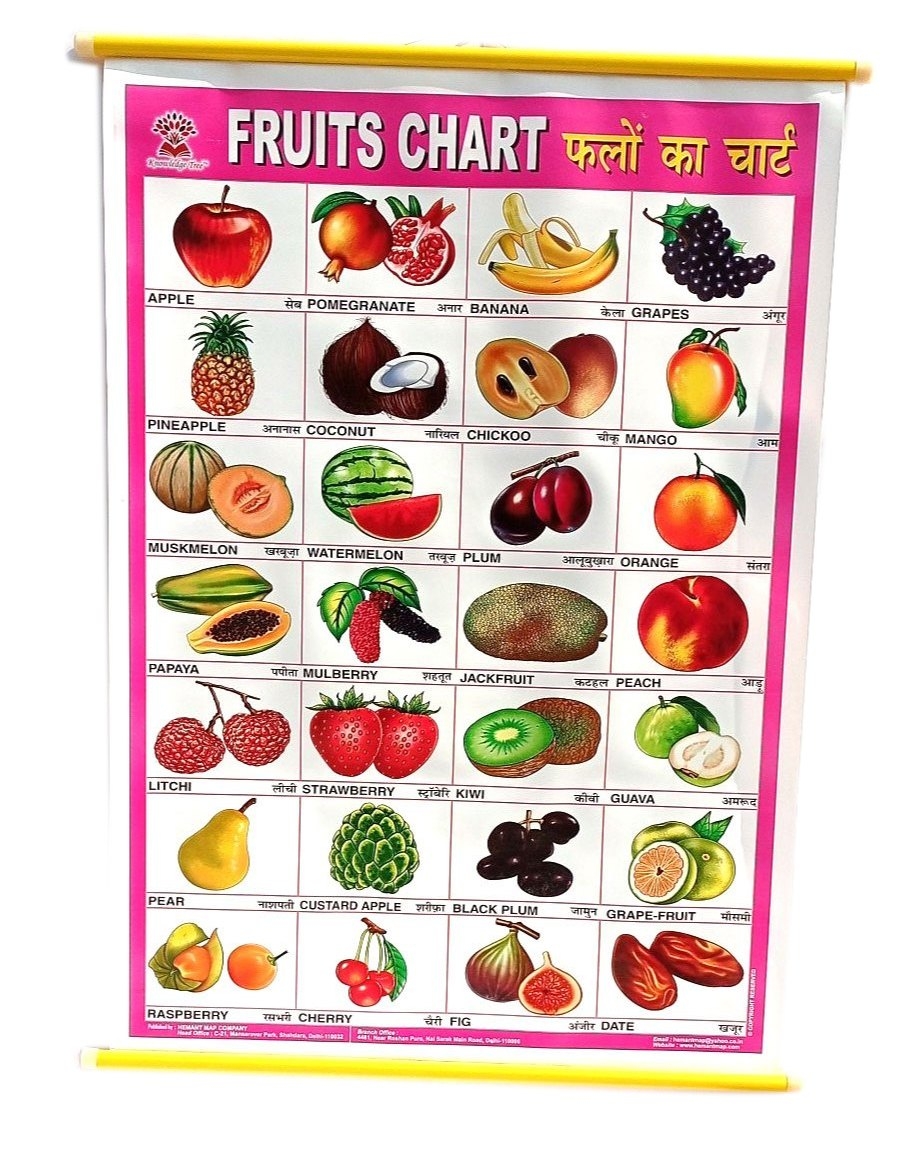 Paper Fruits Name Teaching Chart Size 3 X 2 Feet At 210 piece 