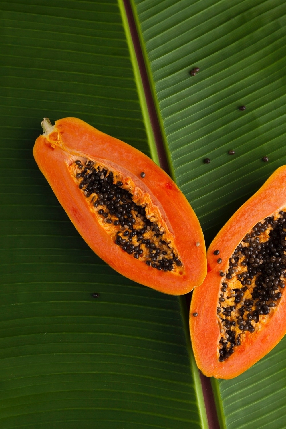 Paw Paw Papaya A Better Choice 