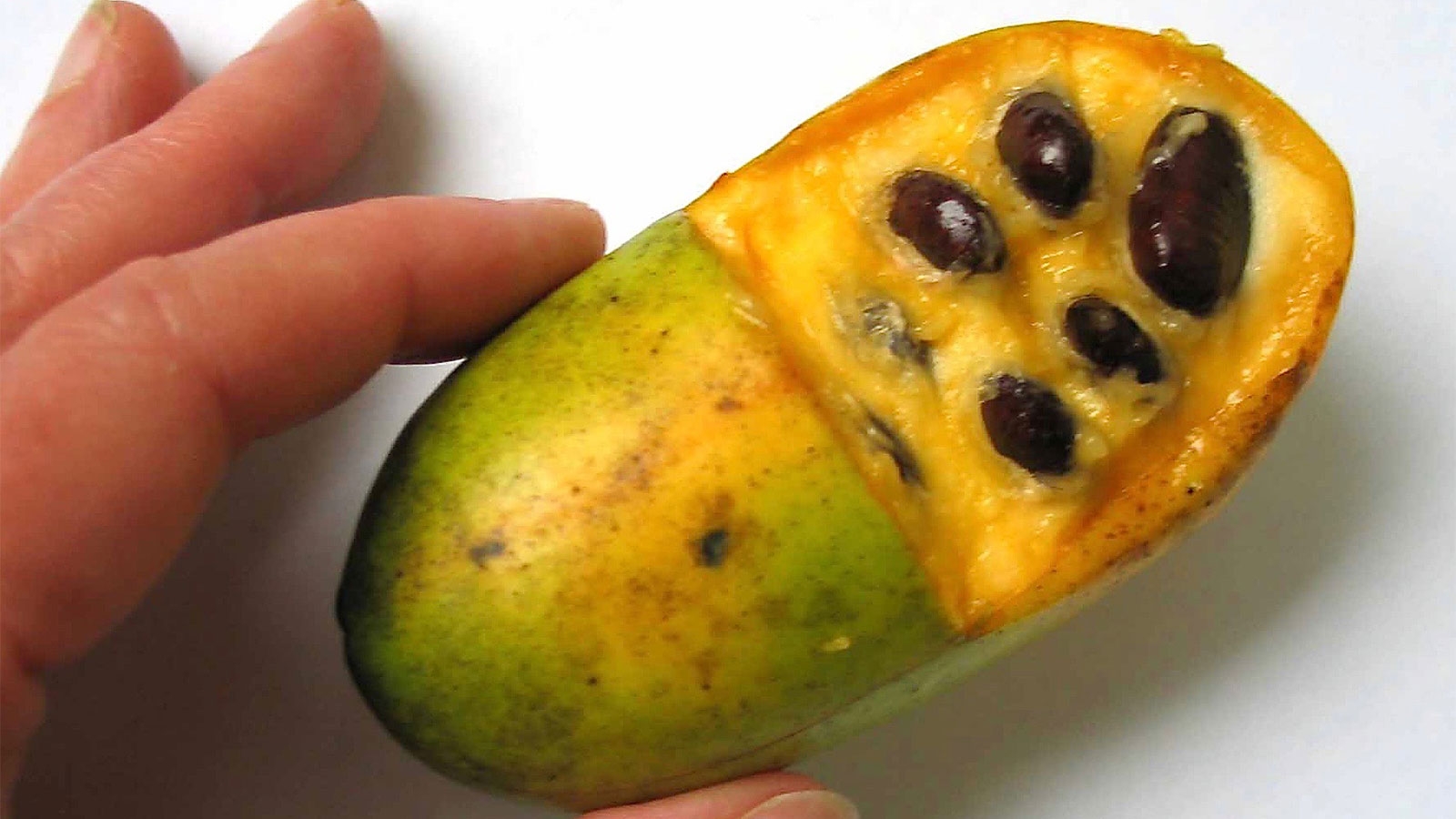 Pawpaws The Forgotten Fruit That Could Use A Little Love HowStuffWorks
