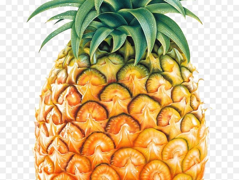 Pineapple Fruit Clip Art PNG