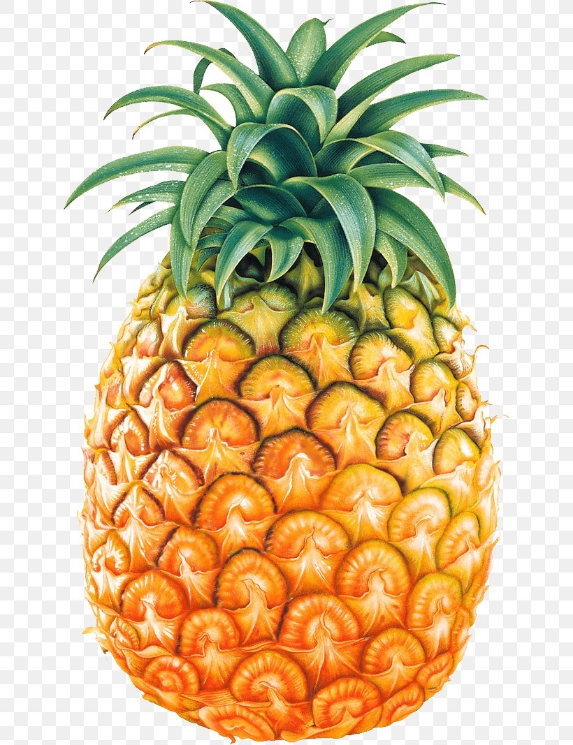 Pineapple Fruit Clip Art PNG