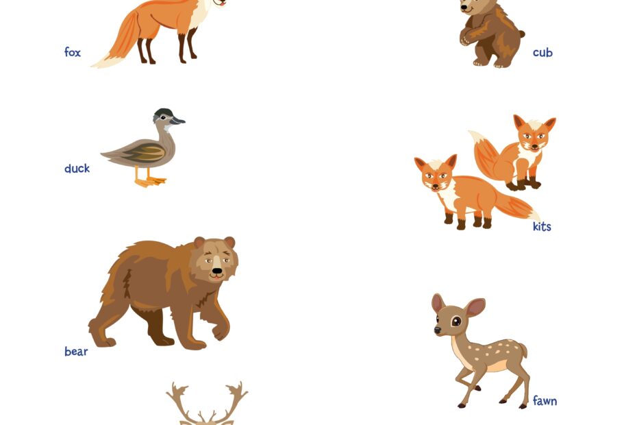 Printable Baby Animal Match Up Little Passports