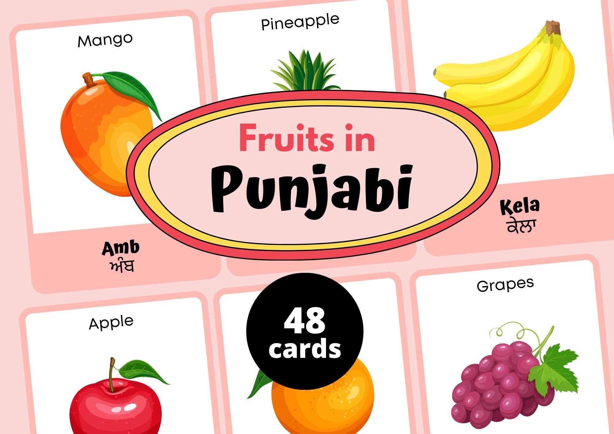 fruits name in punjabi with picture