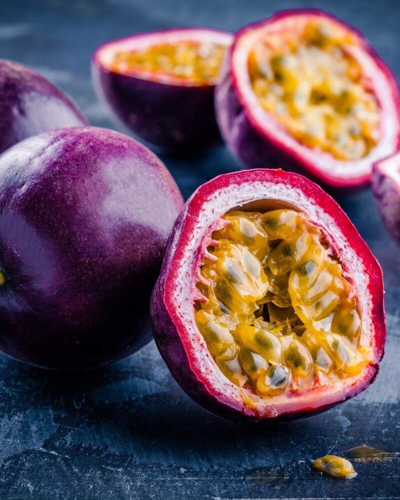 Purple Possum Passion Fruit Vine