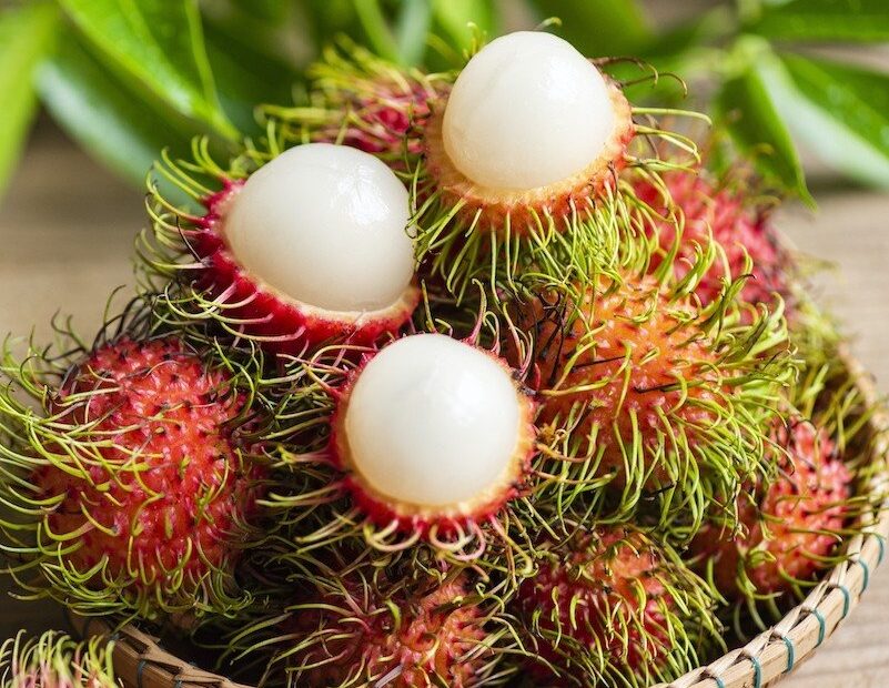 Rambutan Fruit Plant Royals Plant