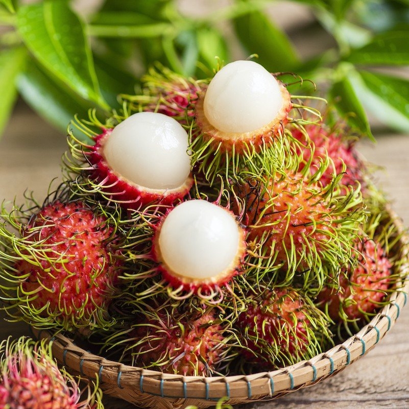 Rambutan Fruit Plant Royals Plant