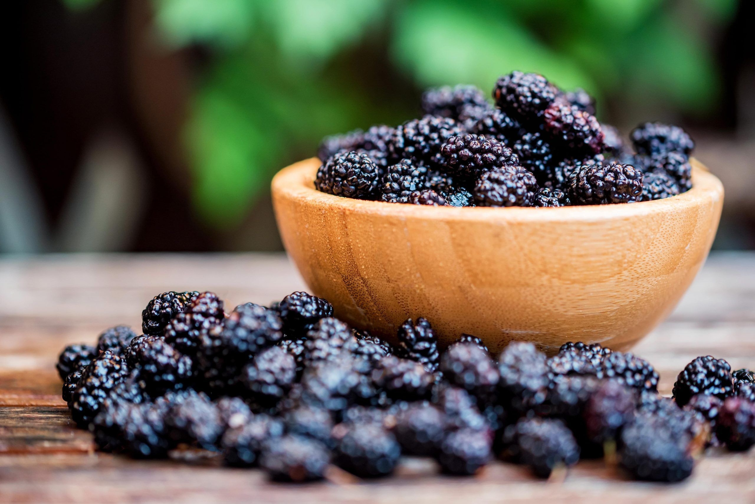 Rarely Seen Mulberry Fruit Turns Out To Be Rich In Benefits Demfarm