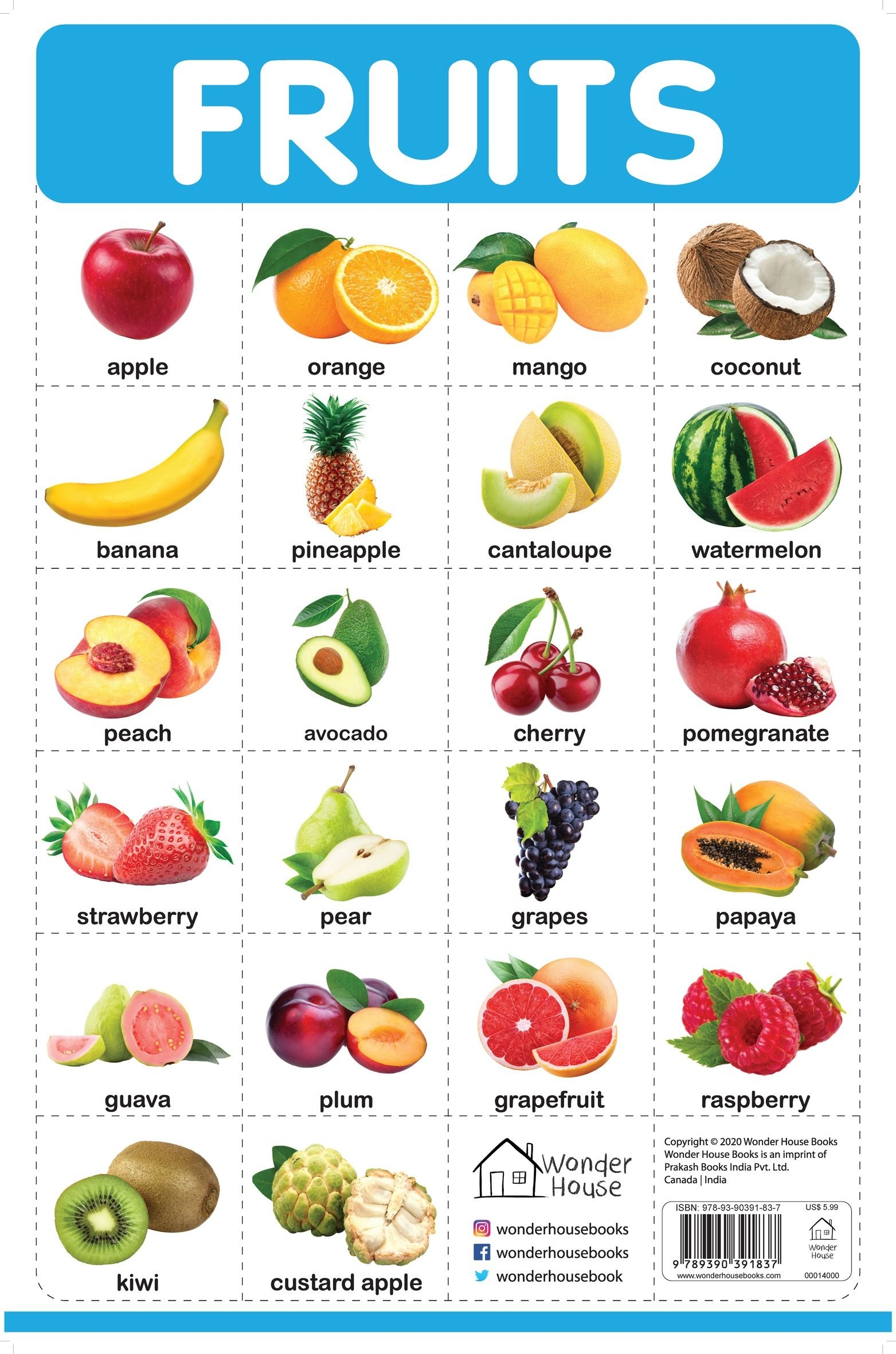 Shop Online Wonderhouse Fruits My First Early Learning Wall Chart For