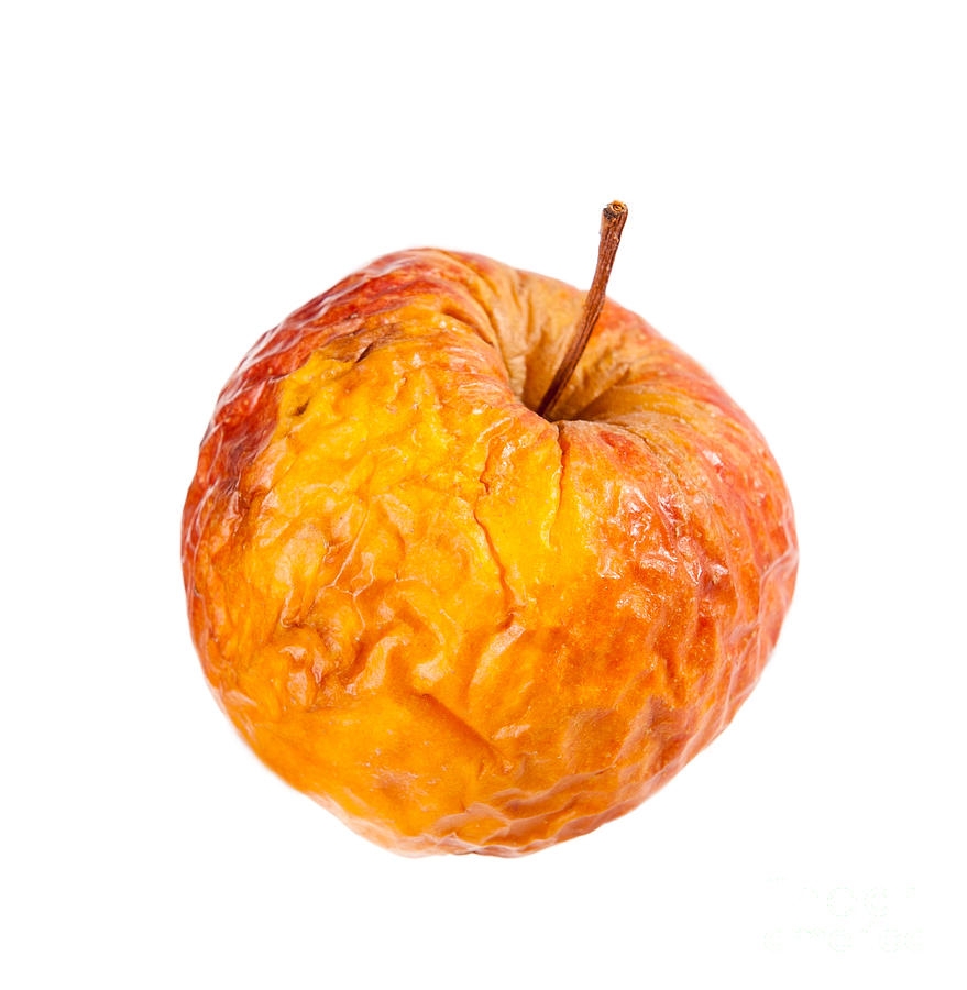 old fruit pictures