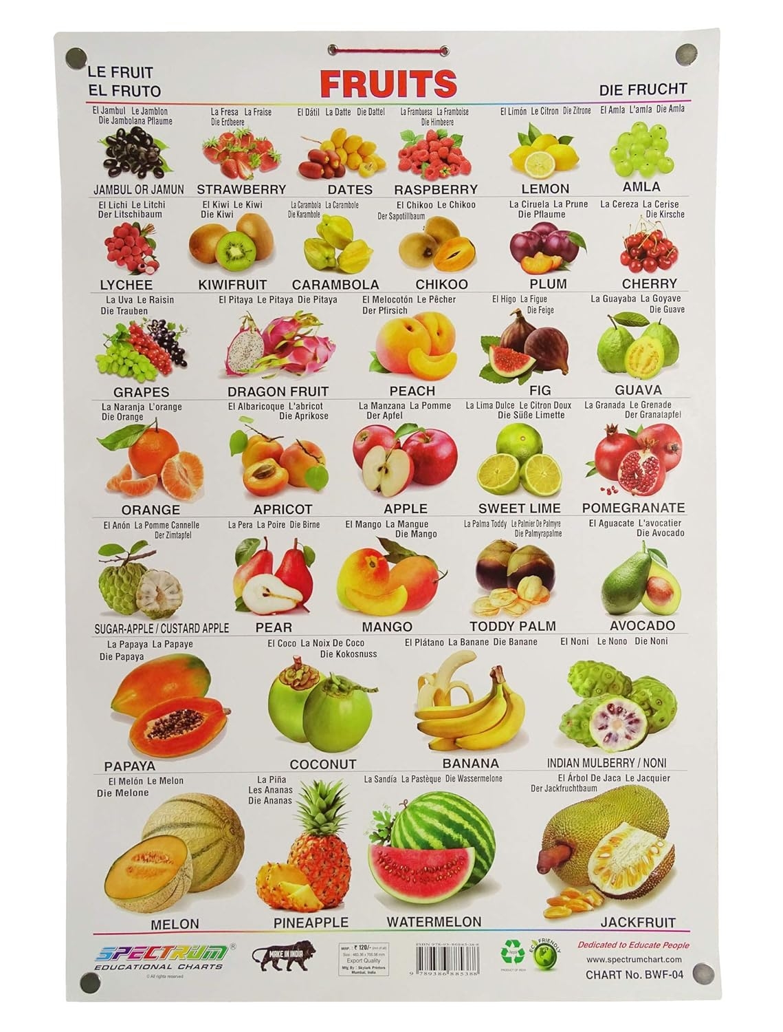 Spectrum Kids Educational Fruits Name Wall Chart