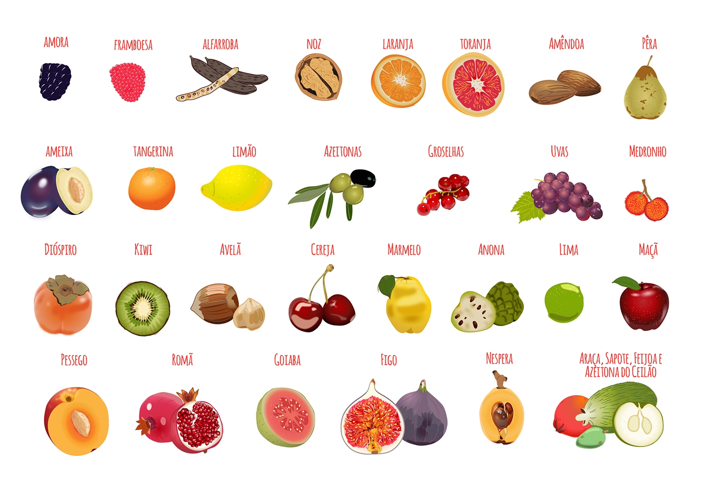 Summer Juicy Fruits Behance
