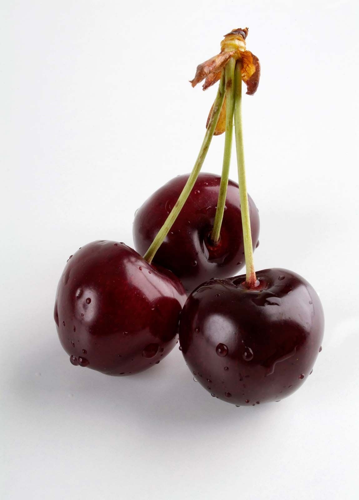 Sweet Cherry Description Cultivation Nutrition Cyanide U0026 Facts Britannica