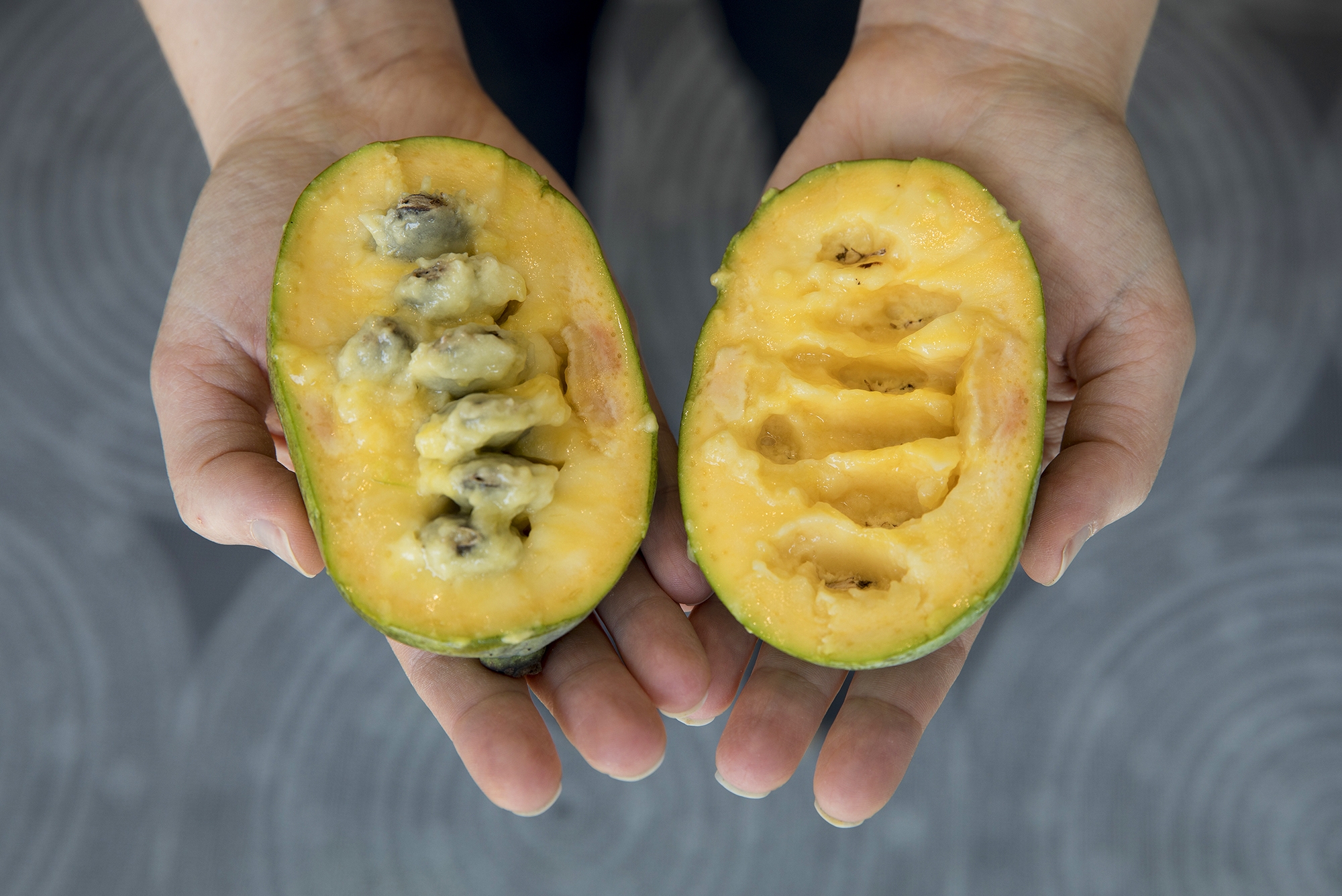 picture of a pawpaw fruit