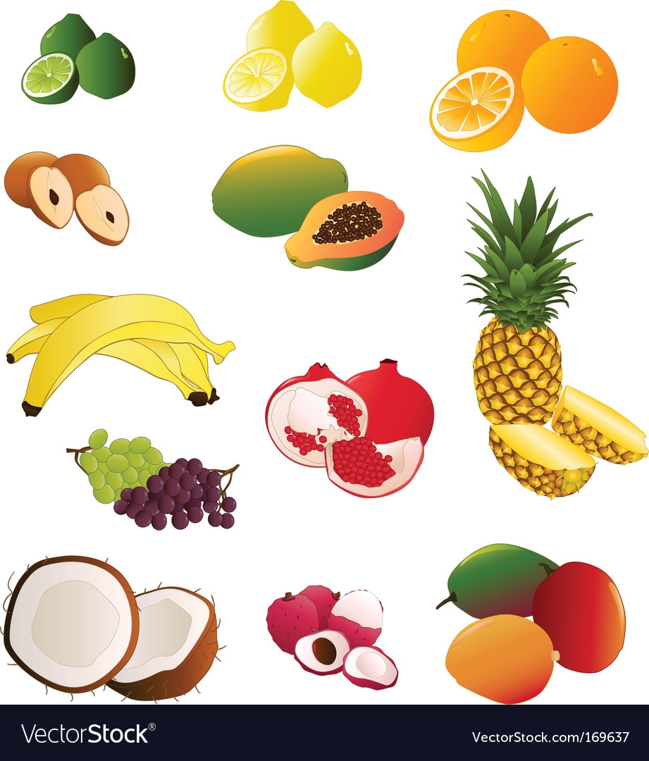 Tropical Fruit Assortment Royalty Free Vector Image