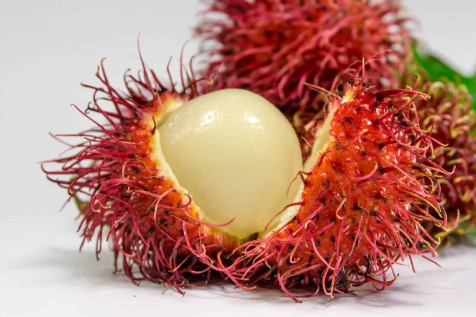 Tropical Fruits To Try In While In Costa Rica SPCR