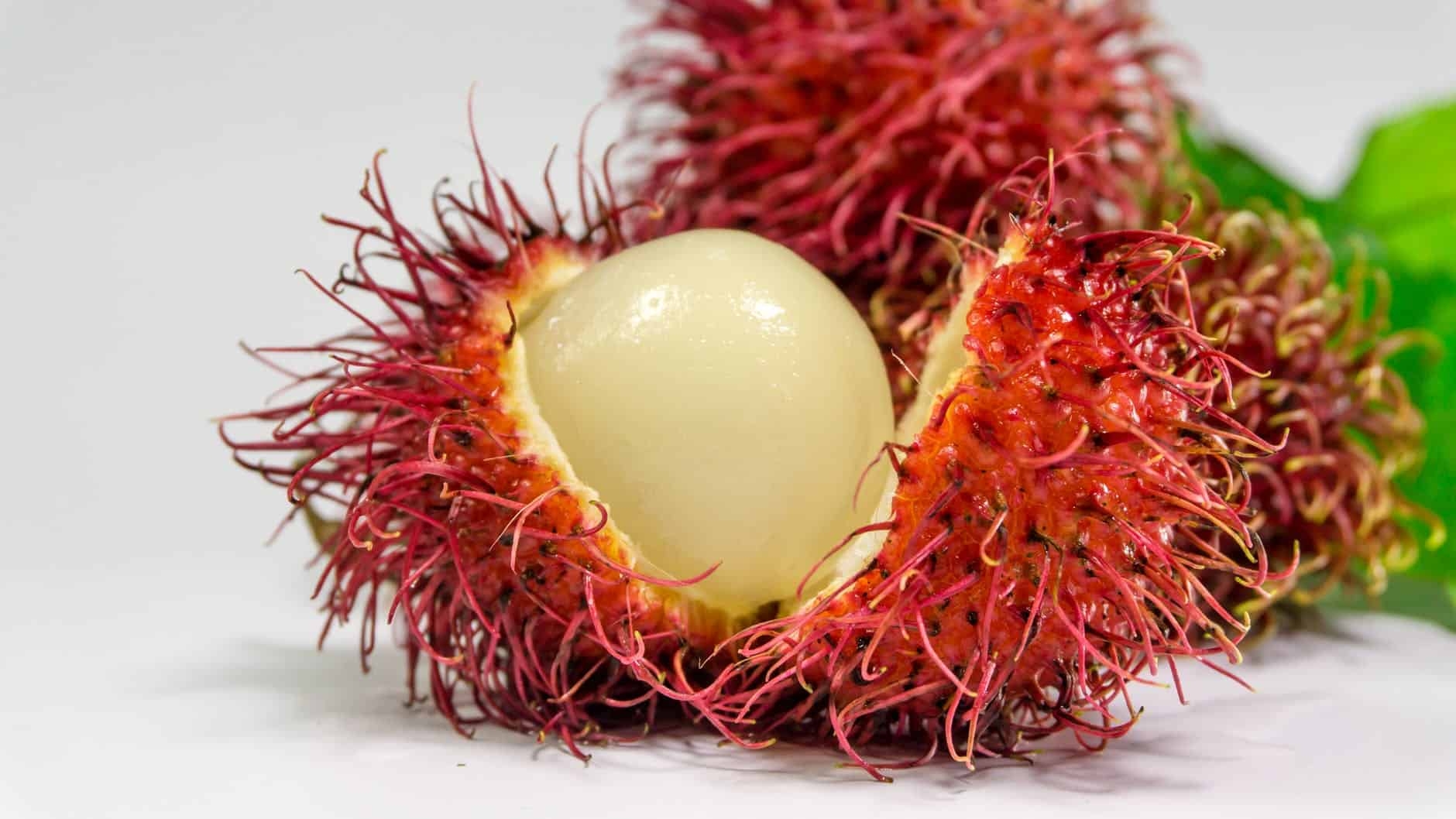 Tropical Fruits To Try In While In Costa Rica SPCR