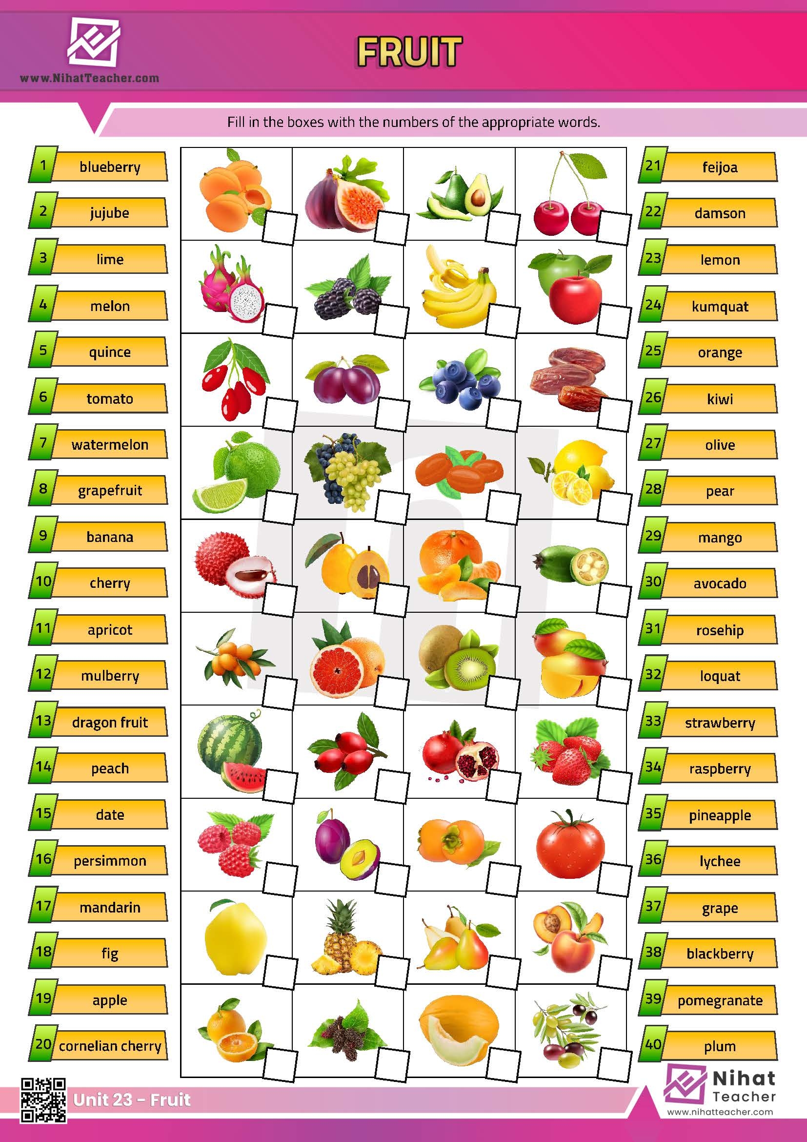 list of fruits pdf with pictures