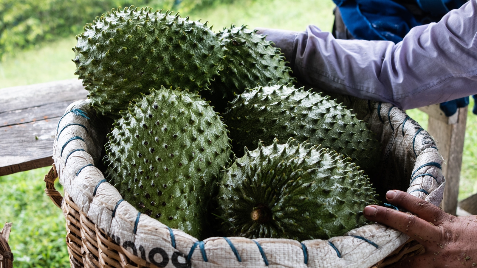 What Is Soursop And What Does It Taste Like 
