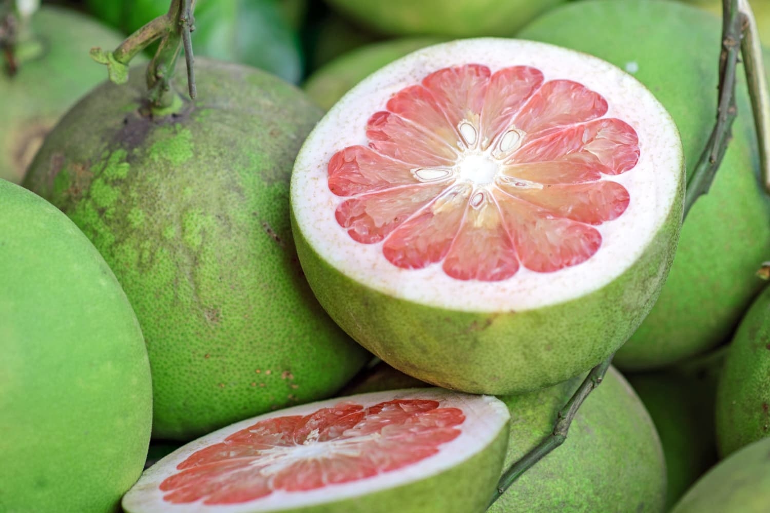 picture of pomelo fruit
