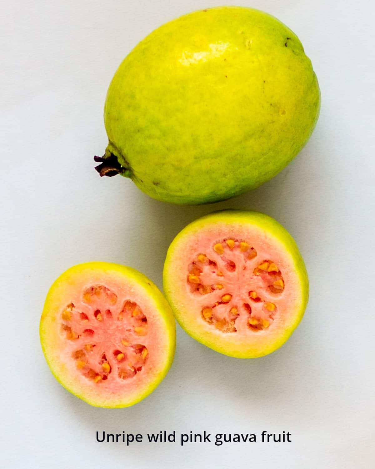 Wild Pink Guava Poppys Wild Kitchen