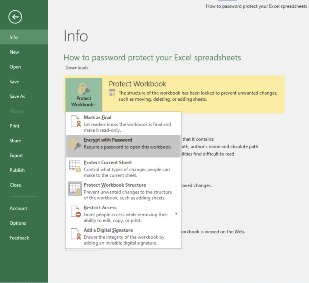 how do you password protect an excel worksheet